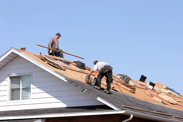 Best Roof Insulation Installation  in Greenwood, DE